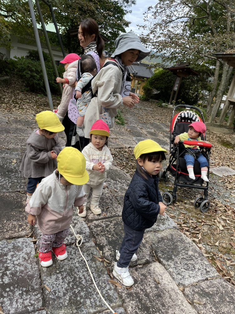 20251116003253.jpg 20251116003253.jpg